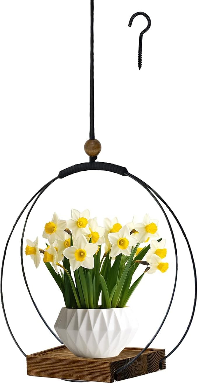 Hanging Planter for Indoor Plants, Black Plant Hanger Indoor with Sturdy Wood Base, Modern Boho Macrame Plant Hanger, Hanging Wall Ceiling Window Home Decor (Plants/Pots Not Included)