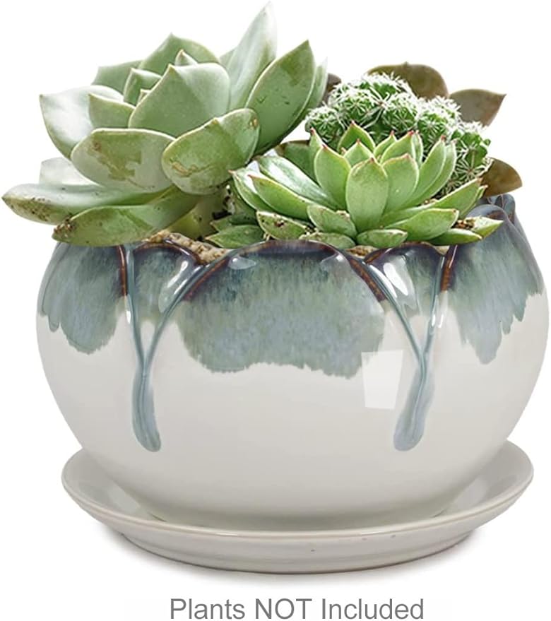 Dahlia 5.5'' Inch Rustic Drip Glazed Ceramic Planter/Succulent Pot/Plant Pot w. Saucer/Tray