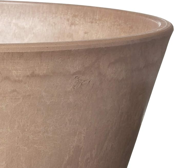 PSW Pot TD25TP Collection Shallow Bulb Pan Planter for Succulents, Bonsai, Fairy Gardens, Herbs, 10-inch, Taupe