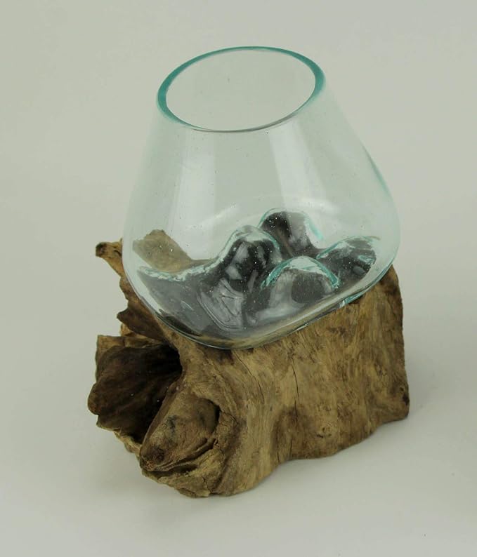 Clear Molten Glass On Teak Driftwood Base Decorative Bowl Vase Terrarium Planter