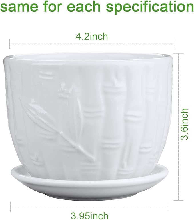 Brajttt Flower Pots, 4 Inch Cylinder Ceramic Plant Pots with Connected Saucer, Mini Ceramic Planters for Succulent and Little Snake Plants (6 Pack, White)
