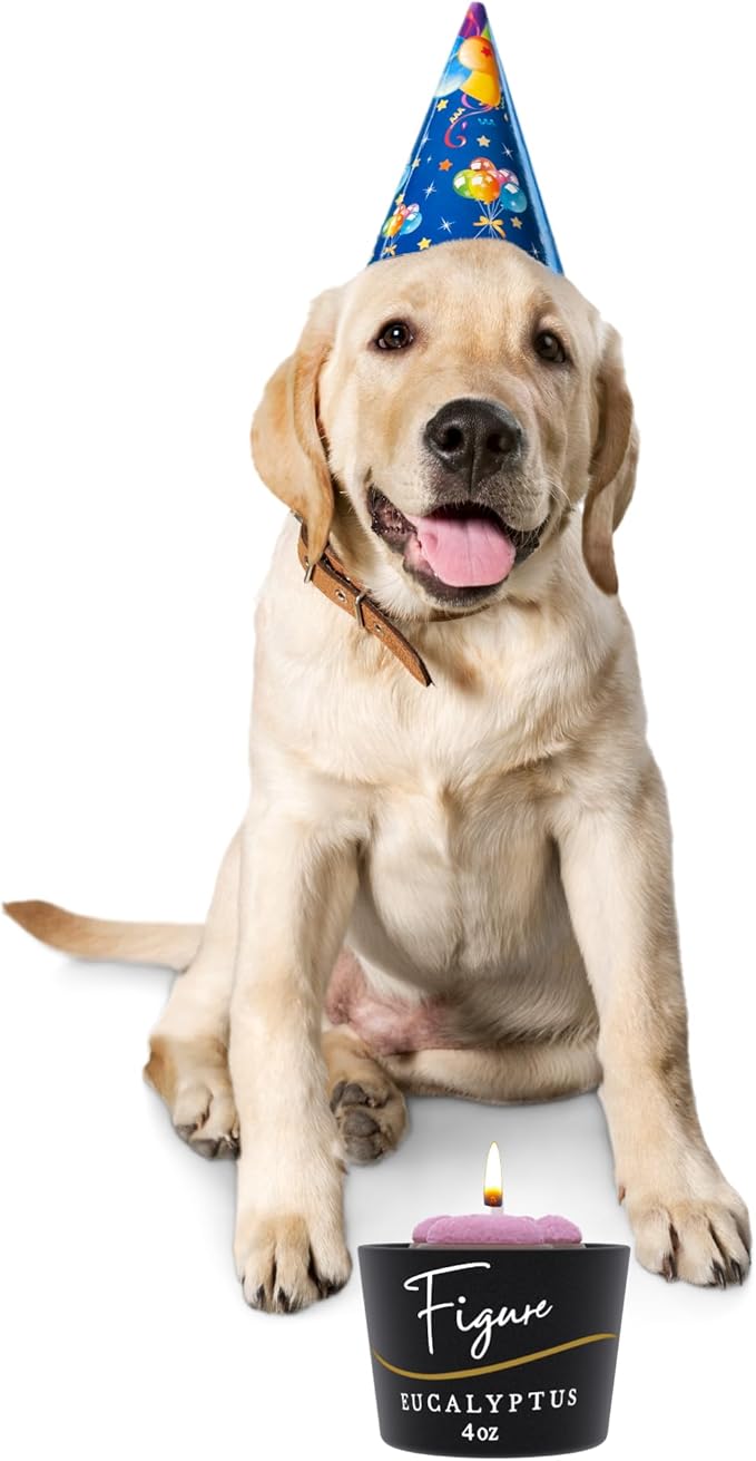 All Natural Scented Candle for Dog & Cat Lovers | Hand-Poured | Aromatherapy | Beeswax & Organic Soy Wax Blend | Essential Oils | 100% Beeswax Wick | Premium Gift Box Included | Paw Eucalyptus 4 oz