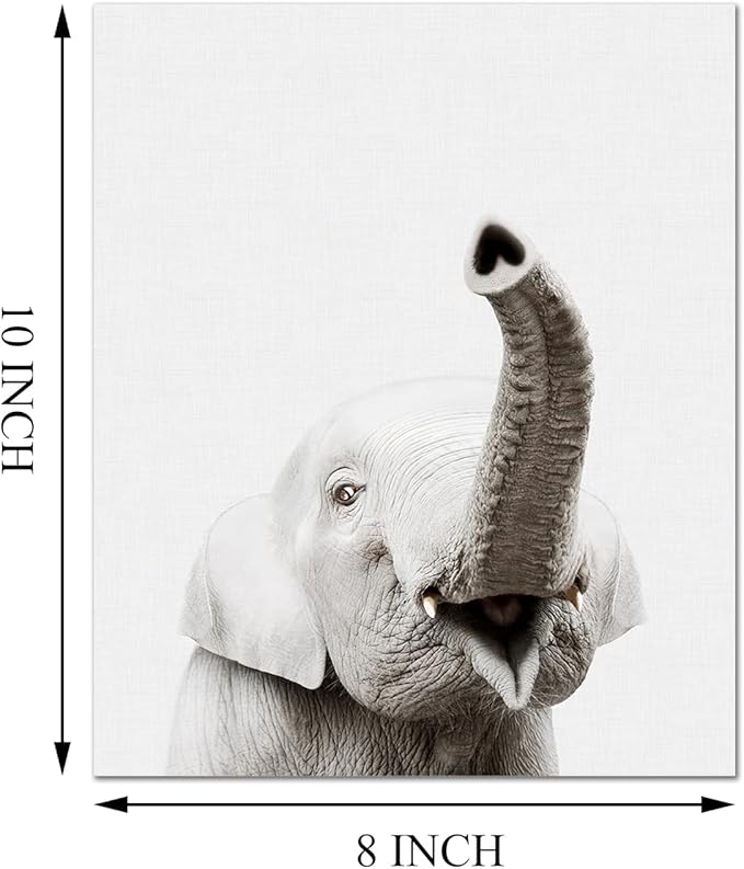 Safari Cute Animal Decor: Rhino, Giraffe, Zebra - Wall Art for Baby Bedroom (8x10, Unframed)