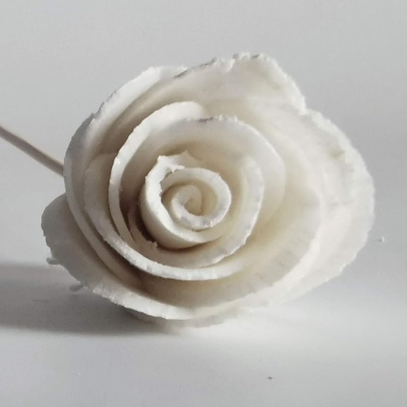 20 Mini Gerbera Rose Sola Flower Reed Diffuser Stick for Home Fragrance by Plawanature