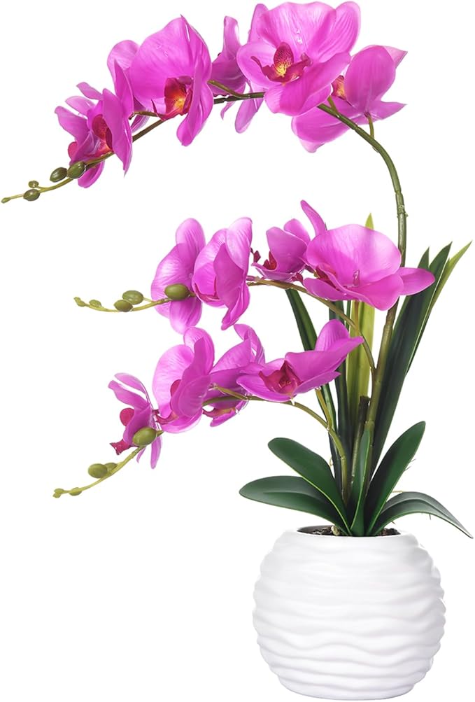 Artificial Orchids in Vase Fake Real Touch Orchid Flowers in Pot Faux Phalaenopsis Potted with Ceramic Vase for Home Office Wedding Table Decoration, Fuchsia
