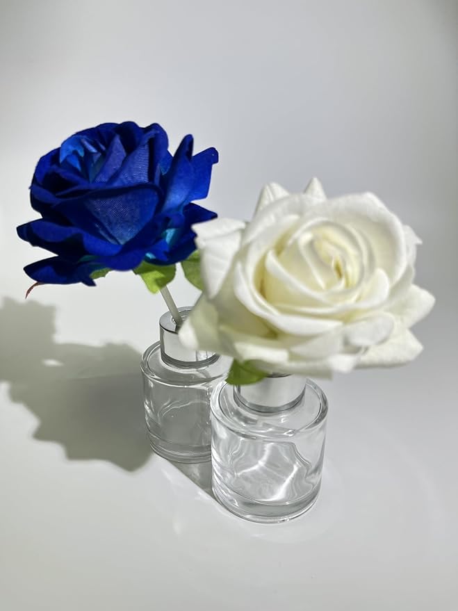 Two Reed Diffuser Bottles Empty,Reed Diffuser Base is A Must-Have for Home Decor and a Great Partner for Diffuser Sticks