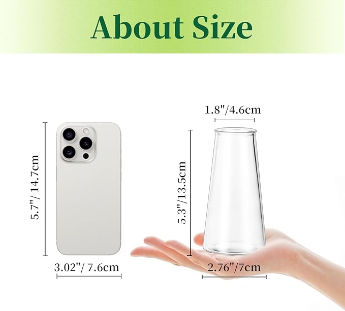 Hewory Glass Bud Vases for Centerpieces: Small Clear Modern Flower Vase Set of 24, Minimalist Cute Mini Decorative Bulk Vases for Wedding Birthday Bridal Shower Party Events Dining Room Table Decor