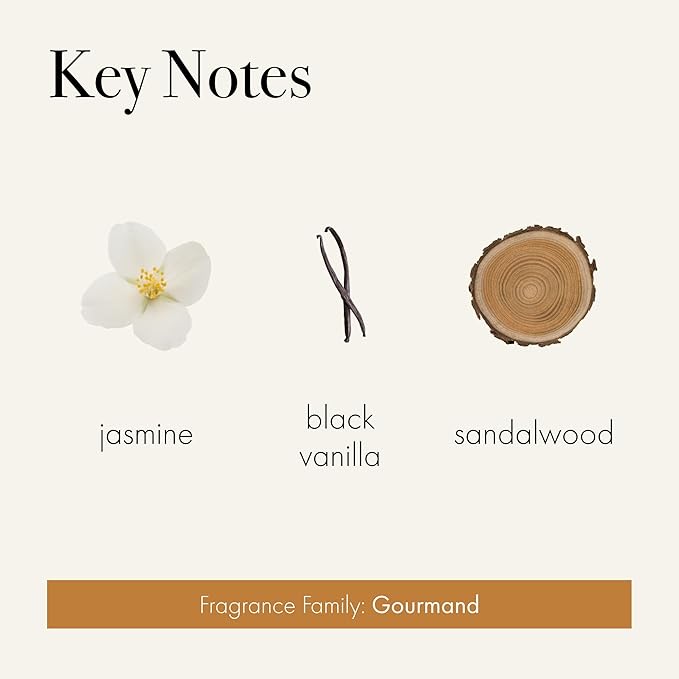 LAFCO New York Reed Diffuser Refill, Amber Black Vanilla - 8.4 oz - Up to 4-Month Fragrance Life - Includes Natural Wood Reeds - Free of Dyes & Propellants - Made in The USA