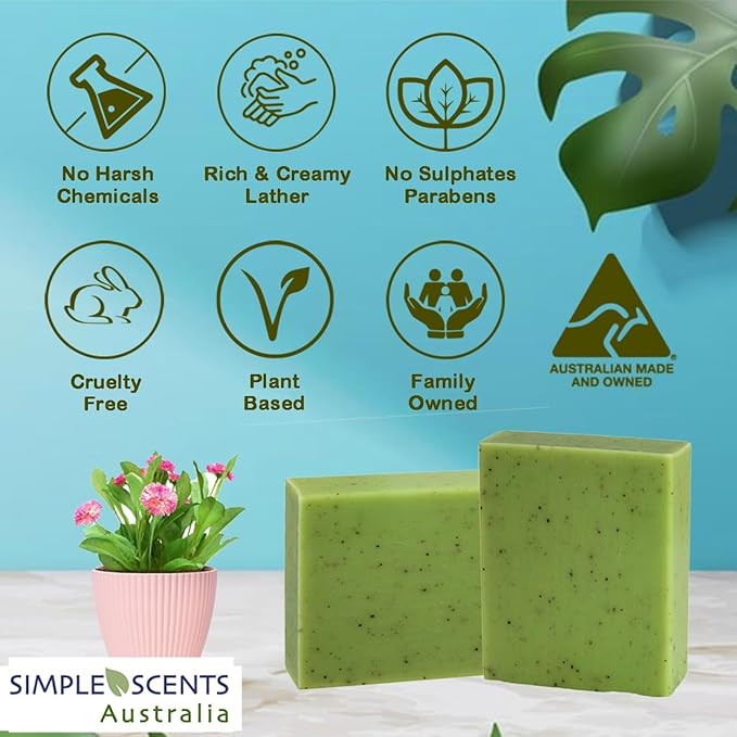 Eucalyptus Scented Natural Soap Bars (5 Bars), 3.5oz Moisturizing French Triple Milled Soap Bars Enriched with Shea Butter - Pure Plant Oil Bath & Body