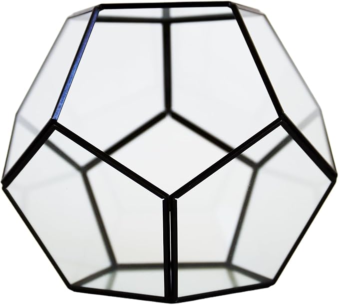 Cute Farms Glass Terrarium Kit | Just Add Your Own Plants (Geometric Glass + Live Plants)