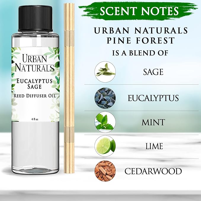 Urban Naturals Eucalyptus SAGE Reed Diffuser Refill, 4 oz, Bundle with Eucalyptus SAGE Reed Diffuser Set - Made with Essential Oils in The USA