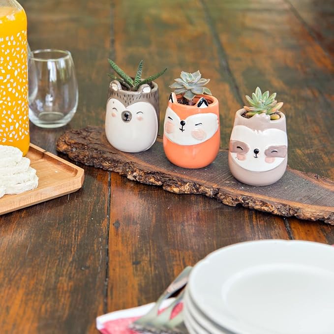 Fox Animal Ceramic Planter for Indoor and Outdoors, 3 x 3 x 4 in., Cute Hand Painted Designed in Argentina, Convenient Drain Hole