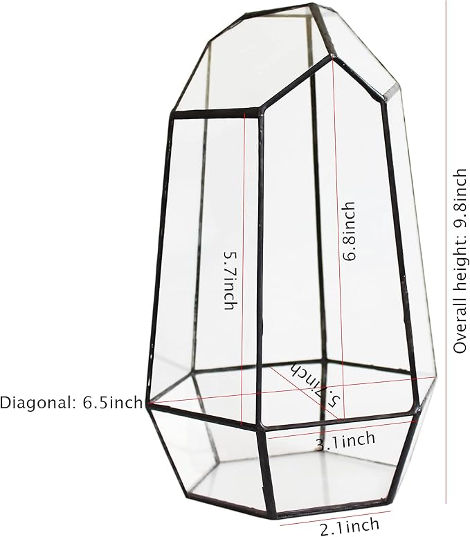 Geometric Glass Terrarium for Indoor Plants,Irregular Clear Planter,Black Opened Container Pot for Cacti,Succulents and Moss,Home Garden Office Tabletop Decor,6.5x5.7x9.8'' No Door