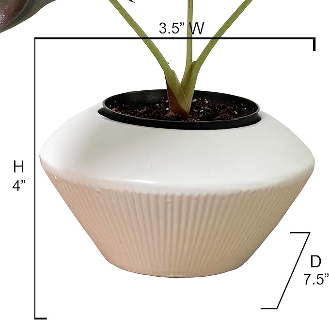 Admired by Nature 7.5" Ceramic Flower Plant Pots Indoor Ceramic, Decorative Planter for Indoor Plant Succulent Home Décor, White