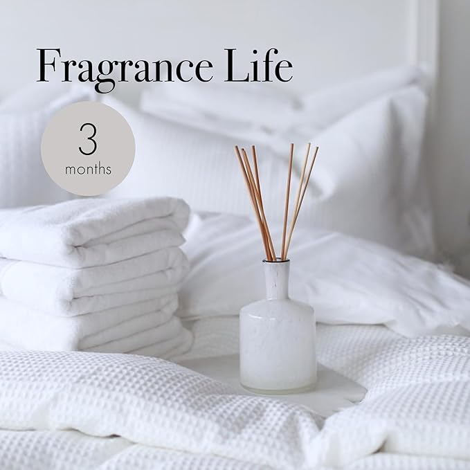 LAFCO New York Classic Reed Diffuser, Champagne - 6 oz - Up to 3 Months Fragrance Life - Reusable, Hand Blown Glass Vessel - Natural Wood Reeds - Made in The USA