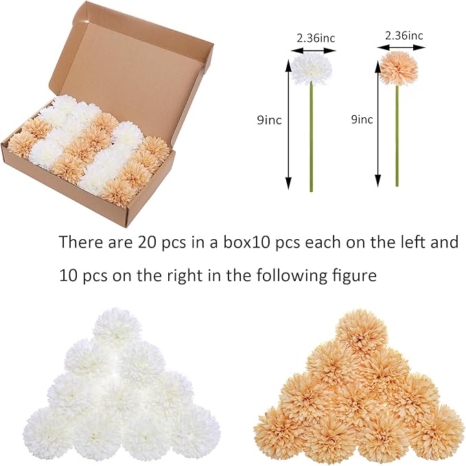 Kimura's Cabin20 Fake Chrysanthemum Flower Artificial SilkFlowers Ball Flowers for Spring Wedding Arrangements Home Decor Indoor Floral Arrangement Table Centerpiece (White Champagne)
