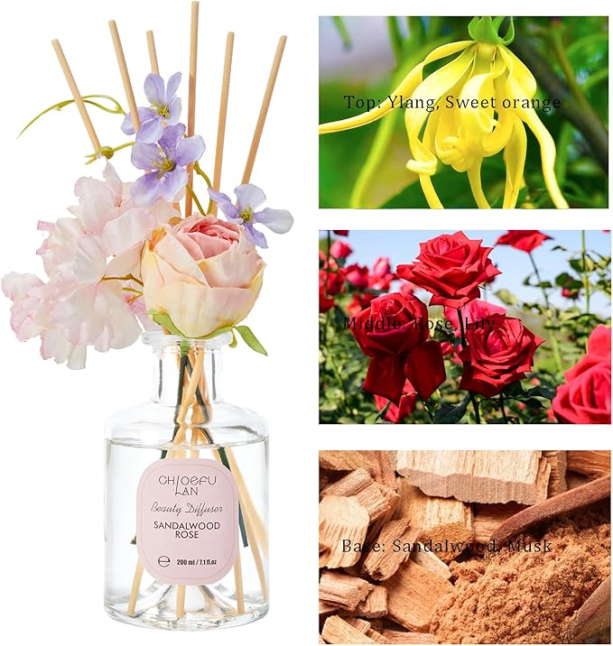 Chloefu Lan Reéd Diffuser Set 6.7oz (200ml) with 9 Sticks, Scent Diffusers for Home, Flowers Reéd Diffuser Sticks, Scentsy Home Fragrance, Scented Oils, Home & Bathroom Décor
