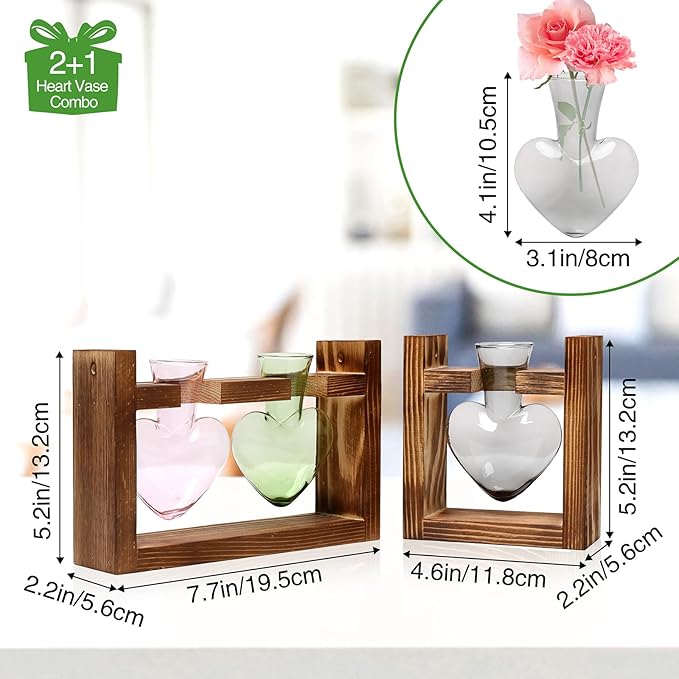 2+1 Plant Terrarium Plant Propagation Station Birthday Gifts for Women Plant Lovers Home Office Decor with Wooden Stand