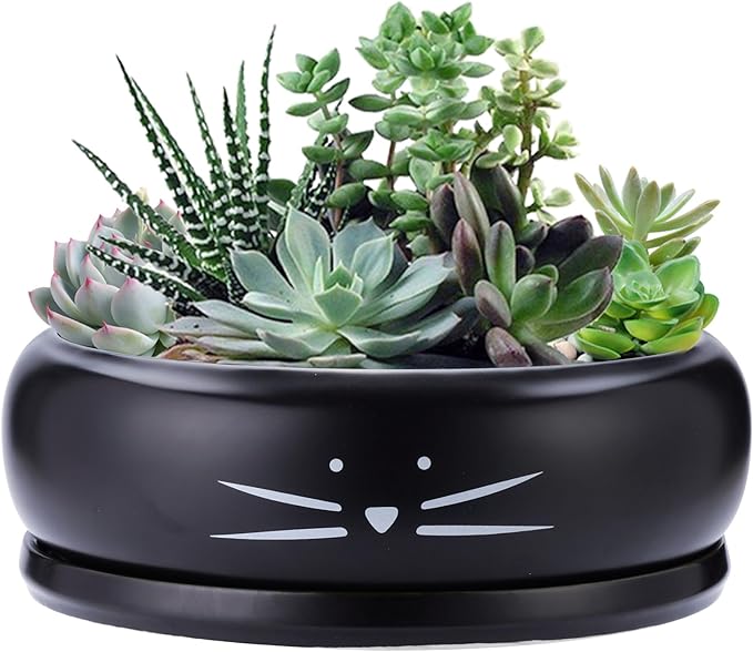 Koolkatkoo 8 Inch Cat Ceramic Succulent Planter Pot with Drainage Hole and Tray Flower Pot for Indoor and Outdoor Plants Round Shallow Planter Gifts for Cat Lovers Black