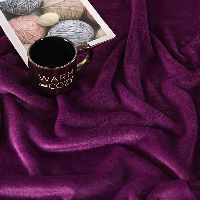 TASTHROW Large Flannel Fleece Throw Blanket, 50×70 Inch - Cozy Lightweight Thick Blanket - All Seasons Suitable for Women, Men and Kids (Two Pack, Purple)