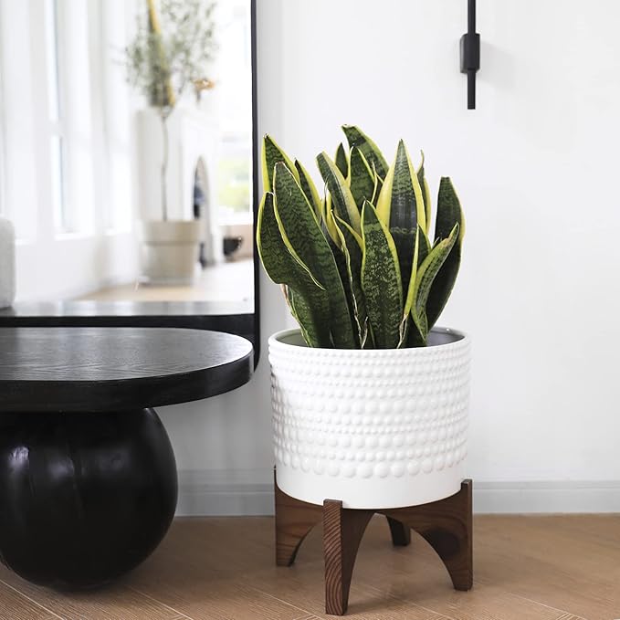 LA Jolie Muse Ceramic Planter with Wood Stand - 8 Inch White Cylinder Embossed Hobnail Patterned Flower Plant Pot Indoor
