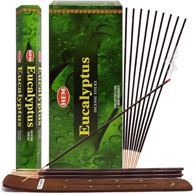 Eucalyptus Incense Sticks and Incense Stick Holder Bundle Insence Insense Hem Incense Sticks