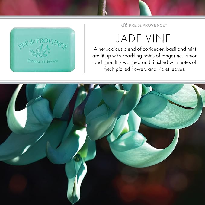 Pre de Provence Artisanal Soap Bar, Natural French Skincare, Enriched with Organic Shea Butter, Quad Milled for Rich, Smooth & Moisturizing Lather, Jade Vine, 5.3 Ounce