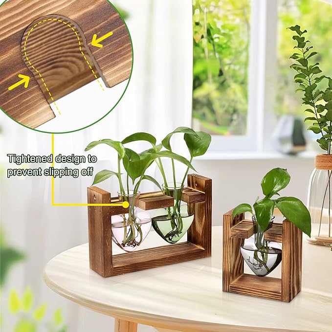 2+1 Plant Terrarium Plant Propagation Station Birthday Gifts for Women Plant Lovers Home Office Decor with Wooden Stand
