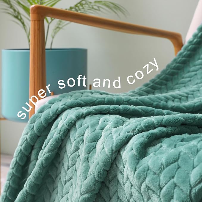 Exclusivo Mezcla Celadon Fleece Throw Blanket for Couch and Bed, 50x70 Inches Soft Cozy Jacquard Flannel Blankets, Lightweight Fuzzy Plush Warm Throws for All Seasons