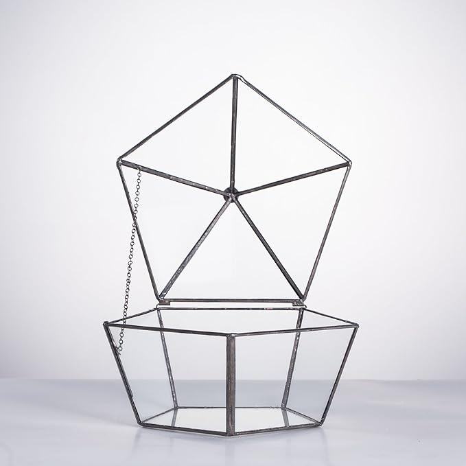 NCYP Modern Clear Glass Jewelry Box with Swing Lid, Geometric Pentagon Shape Terrarium for Succulent Fern, Garden Display Planter Tabletop Decor Centerpiece Container (NO Plants)