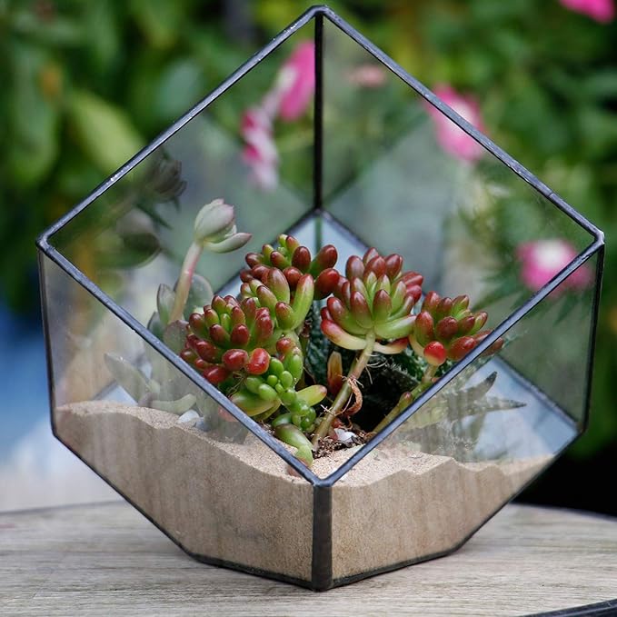 Glass Geometric Plant Terrarium Container, Flower Pot Tabletop Planter Decor Glass Display Box Succulent & Air Planter for Home Garden Office Decoration(Black Cubic Set of 2)