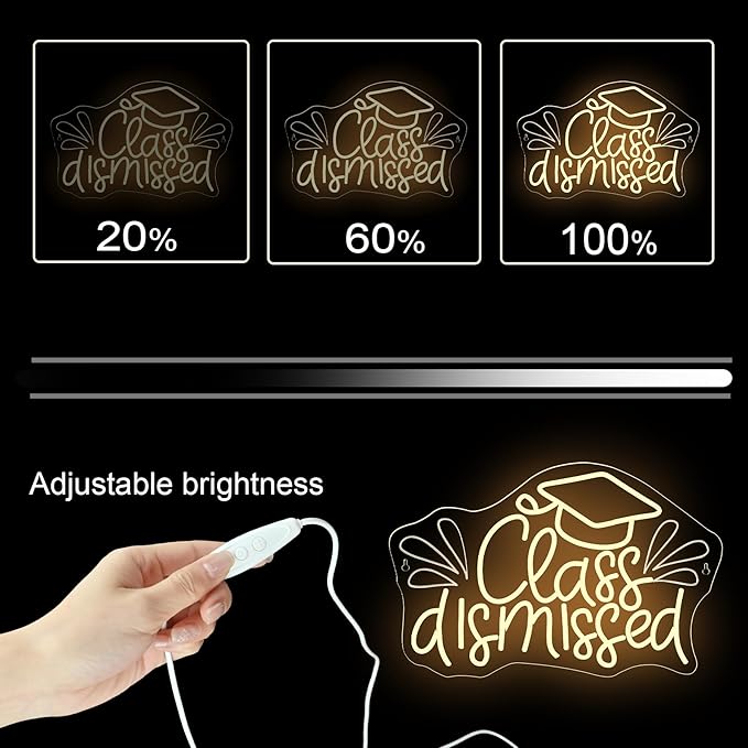 NOSUN Class Dismissed Neon Sign Class Neon Signs for Wall Decor, Warm White LED Signs for Classmates friends family, USB Neon Word Sign for Party Club Light Up Sign, The best gift for graduating friend