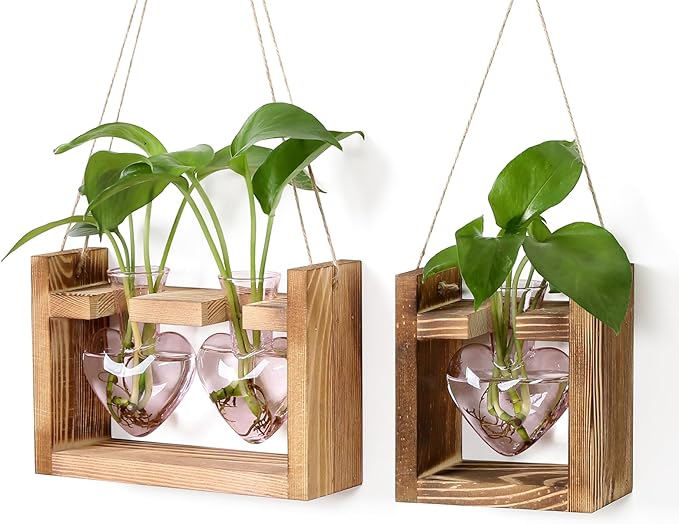 2+1 Plant Terrarium Plant Propagation Station Birthday Gifts for Women Plant Lovers Home Office Decor with Wooden Stand