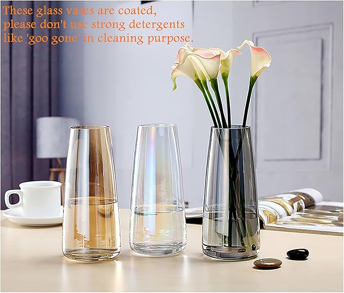 FANTESTICRYAN Modern Glass Vase Irised Crystal Clear Glass Vase for Home Office Decor (Crystal Grey)