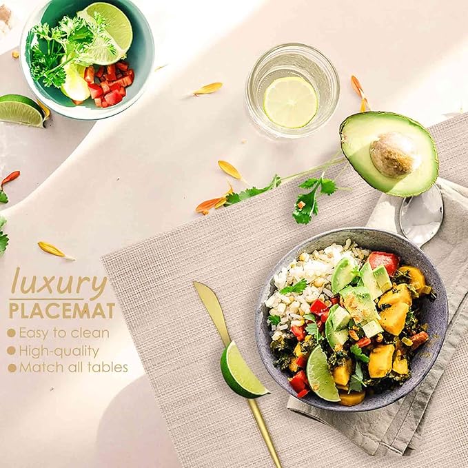 GIVERARE Placemats Set of 4, Heat-Resistant Woven Vinyl Placemat 12x18in, Non-Slip Washable PVC Table Mat, Easy to Clean Premium Plastic Mats for Dining, Kitchen Table (Beige)