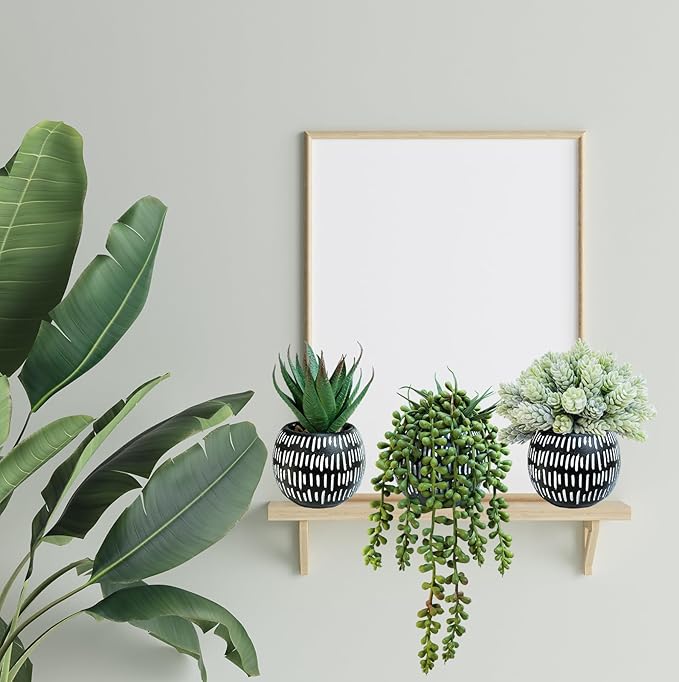 Winlyn Set of 3 Small Artificial Succulent Potted Plants Faux Aloe Hops Hanging Succulent in Black Concrete Planters for Gift Home Office Bathroom Living Room Wedding Windowsill Table Shelf Desk Décor