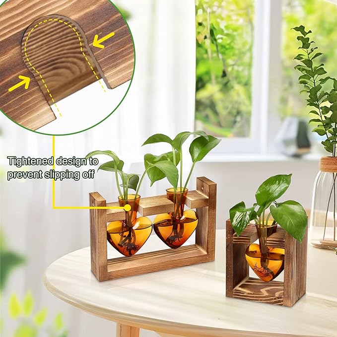2+1 Plant Terrarium Plant Propagation Station Birthday Gifts for Women Plant Lovers Home Office Decor with Wooden Stand