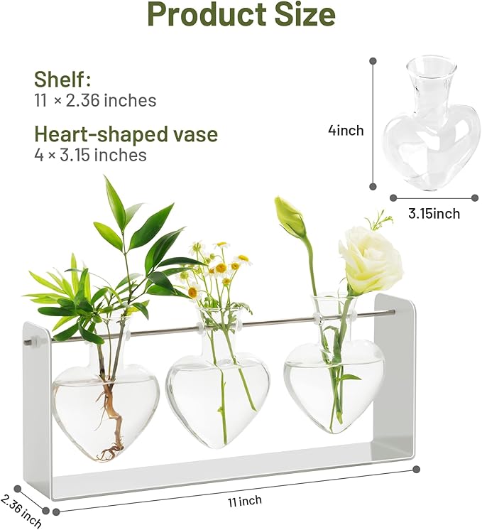Rossny Metal Plant Propagation Station with 3 Clear Glass Vases - Desktop Plant Terrariums for Herbs, Ideal for Modern Home Office Garden Planter Decor, Gift for Plant Lovers, White