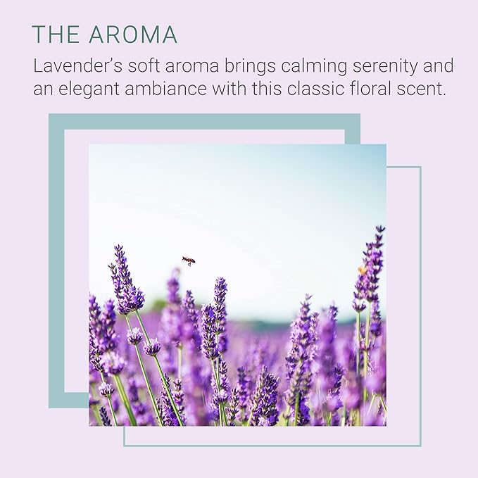 SpaRoom Reed Diffuser Oil Refill – Lavender Scent, 8oz Bottle for Home Fragrance, Calming and Relaxing Blend for Bedroom, Bathroom, or Office, Long Lasting Air Freshener, Aromatherapy Use