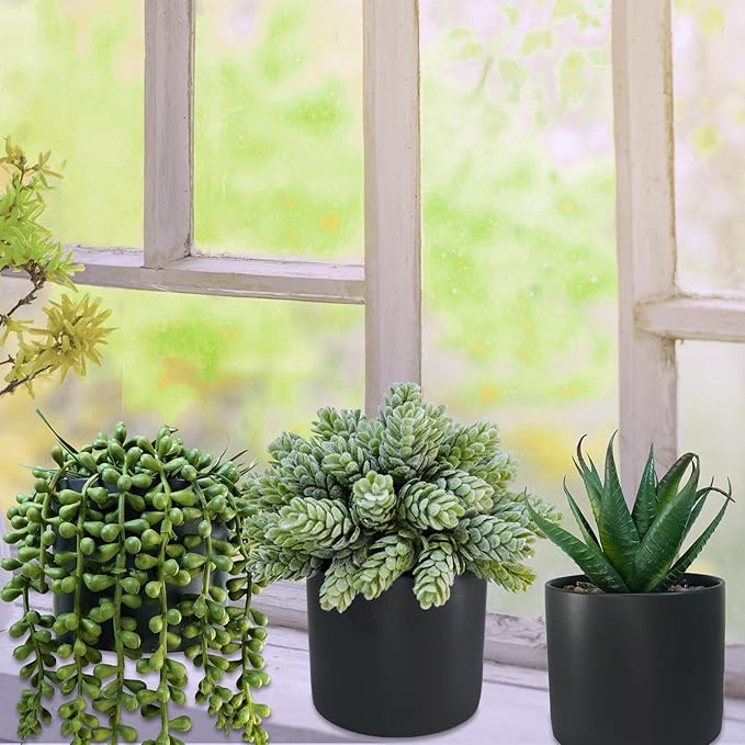 Winlyn Set of 3 Small Artificial Potted Succulent Plants Faux Aloe Hops String of Pearls Succulents in Black Cylinder Pots for Gift Home Office Bathroom Indoor Outdoor Table Shelf Windowsill Décor