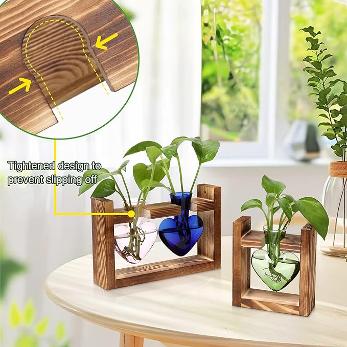 2+1 Plant Terrarium Plant Propagation Station Birthday Gifts for Women Plant Lovers Home Office Decor with Wooden Stand