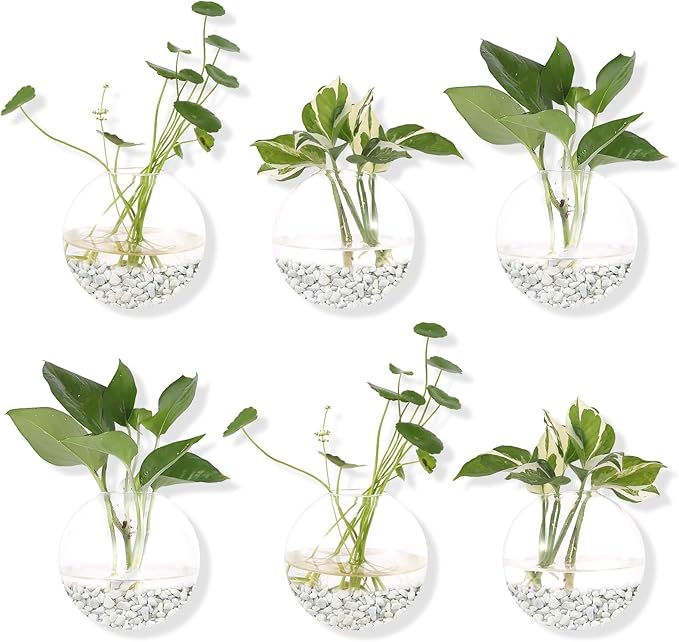 Hanging Wall Planters Pack of 6 Glass Planter Pots Round Glass Flower Vases Hanging Propagation Station Glass Plant Hanger Terrariums Wall Hanging Plant Container