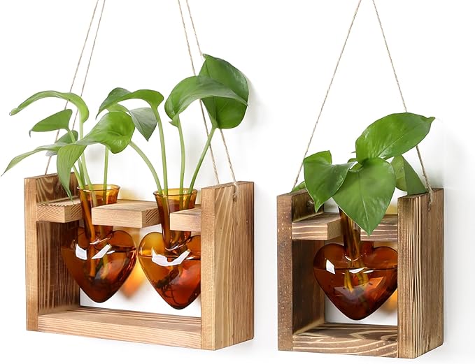 2+1 Plant Terrarium Plant Propagation Station Birthday Gifts for Women Plant Lovers Home Office Decor with Wooden Stand