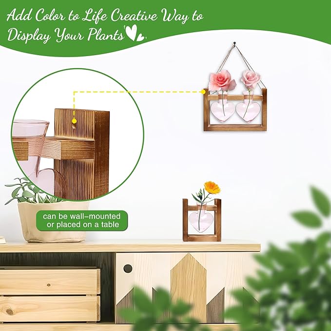 2+1 Plant Terrarium Plant Propagation Station Birthday Gifts for Women Plant Lovers Home Office Decor with Wooden Stand