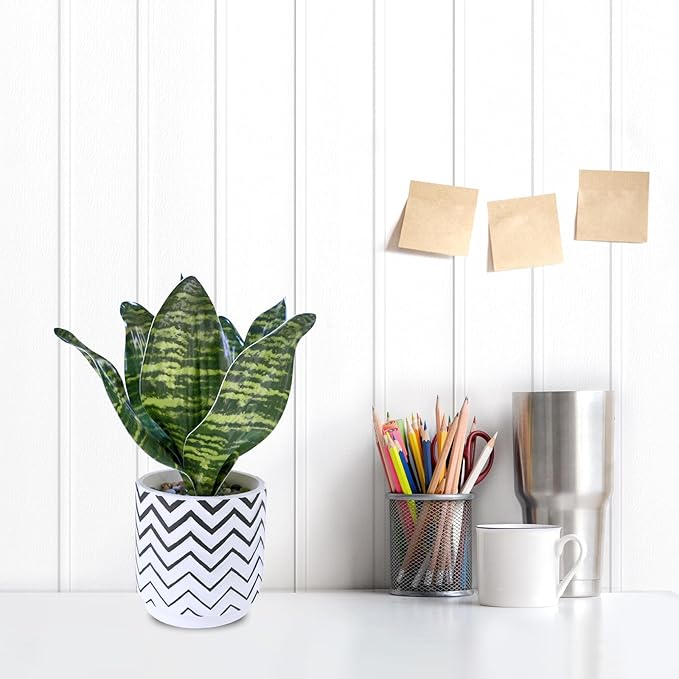 Winlyn Set of 3 Artificial Potted Succulent Plants Faux Snake Plant Hops String of Pearls in Black White Geometric Planter Small Fake Desk Plants for Kitchen Bathroom Shelf Desk Table Windowsill Decor
