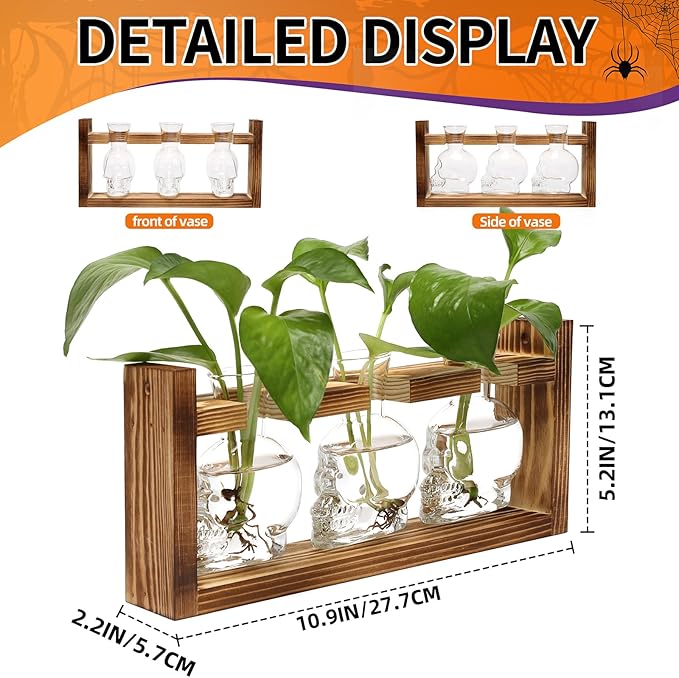 Plant Terrarium Propagation Stations Hydroponics Halloween Skull Planter Vase Skulls Decor with Wooden Stand Gife for Father
