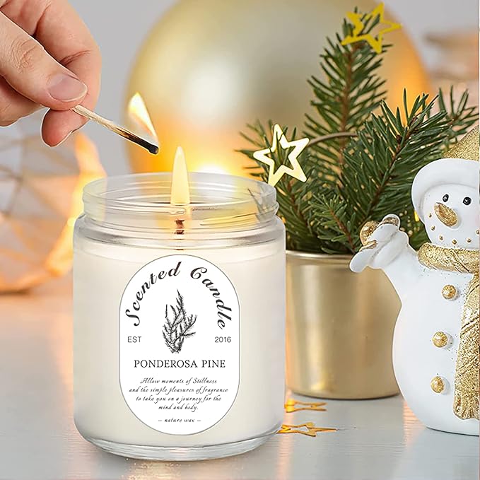 4 Pack Candles for Home Scented, Lavender Candles, 28 oz 200 Hour Aromatherapy Candles, Long Lasting Candle Gift Set for Women, Perfect for Birthday Gifts
