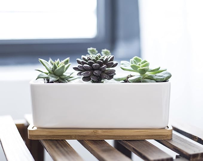 LANKER 6.5 Inch Rectangle White Ceramic Succulent Planter Pot Decorative Cactus Plant Pot Flower Container with Bamboo Tray (Rectangle 6.5 Inch)