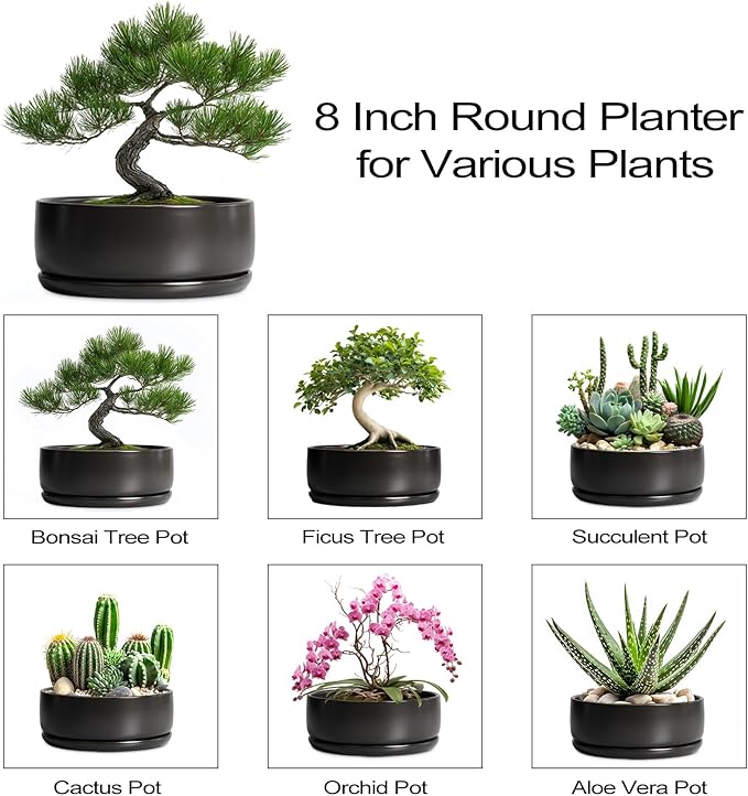 SQOWL Bonsai Pots - 8 Inch Ceramic Plant Pots for Succulents, Round Indoor Planter with Drainage Hole and Saucer, Shallow Modern Planter Bowl, Room Decor, Black