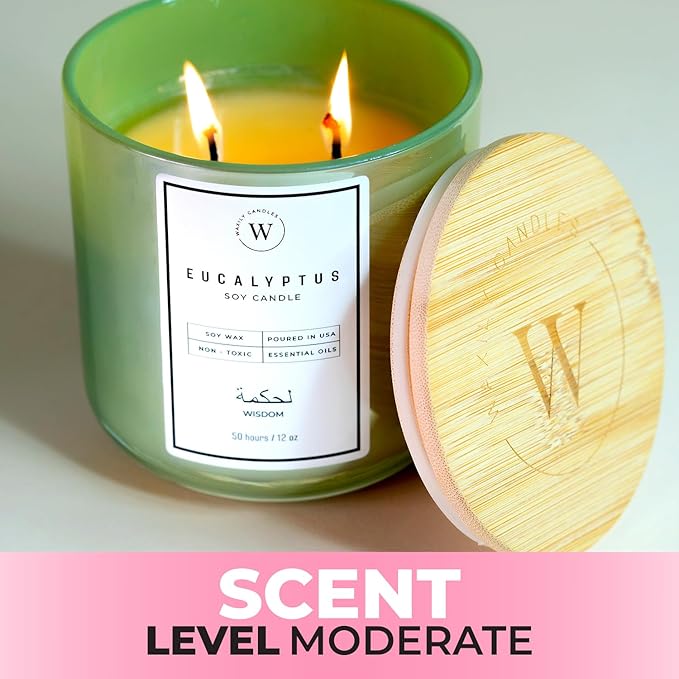 Waxily Eucalyptus Soy Candle | Aromatherapy Candles | Non Toxic, Long Lasting, Large Essential Oil Candle | Luxury Gift, Clean Burning, Home Spa, Stress Relief, Vegan, Eco Friendly, Natural | 12oz